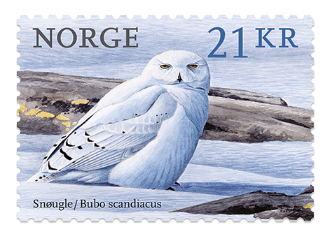 PFT 2018 birds Snøugle orig Frimerke